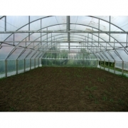 Folie solar cod 2501 P.K. 150µ, 14m