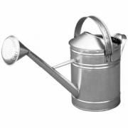 Stropitoare zincata Super, volum 10 litri