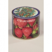 Kit pentru gradinarit, seminte de capsuni si substrat de turba, Sam Van Schooten