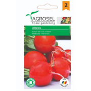 Seminte Ridichi Johanna - 4g