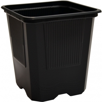 Pahar rasad(7*7*8 cm), Blondy