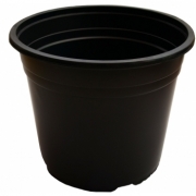 Ghiveci VCD negru(10.5 cm), Blondy