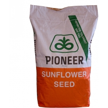 Seminte floarea soarelui P64LE25 (150.000 sem/sac), Pioneer