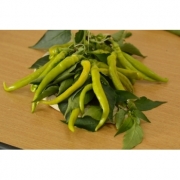 Seminte ardei iute Iancu F1(100 sem), Agrosel