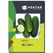 Seminte castraveti Metex F1(500 sem),HEKTAR