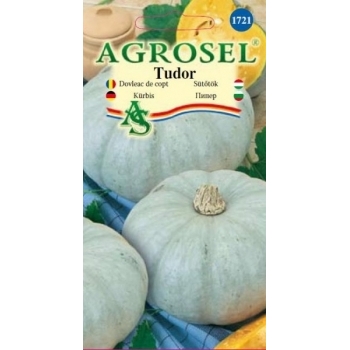 Seminte dovleac de copt Tudor(3 gr), Agrosel