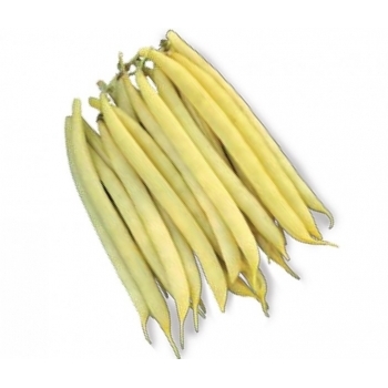 Seminte fasole oloaga Ileana(25 gr), Agrosel