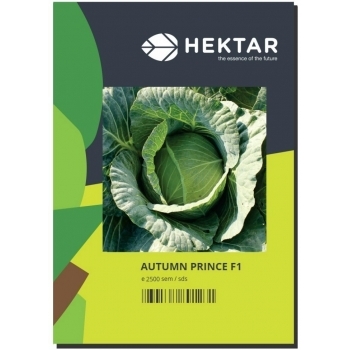 Seminte varza Autumn Prince F1(2500 sem), HEKTAR #1