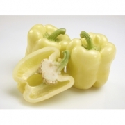 Seminte ardei gras Maradonna F1 (500 seminte), Seminis