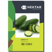 Seminte castraveti cornichon Geroy F1(500 sem), HEKTAR