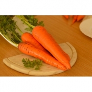 Seminte morcovi Flakker(100 gr), Agrosel