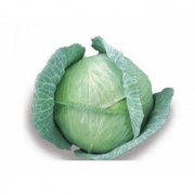 Seminte varza de Buzau(2500 sem), Agrosel