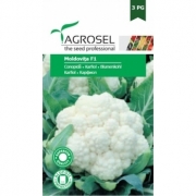 Seminte conopida Moldovita F1(100 sem), Agrosel, 3PG