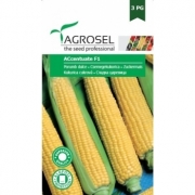 Seminte porumb extradulce Accentuate F1(40 sem), Agrosel