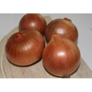 Seminte Ceapa Calatis F1(125.000 sem), Agrosel