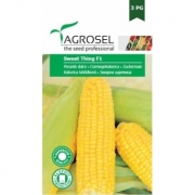 Porumb dulce Sweet Thing F1(2500 sem), Agrosel
