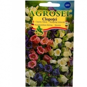 Seminte flori Clopotei melanj(1gr) Agrosel, 2PG