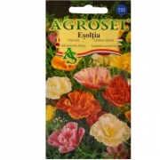 Seminte flori Esoltia melanj (1gr) Agrosel, 2PG