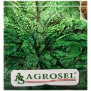 Seminte Spanac Matador(250 gr), Agrosel
