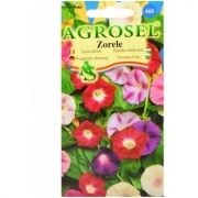 Seminte flori Zorele Melanj (2gr) Agrosel, 2PG