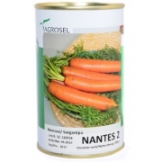 Seminte Morcovi Nantes 2 100 gr Agrosel