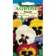 Seminte flori Pansele melanj (0.25gr) Agrosel, 2PG