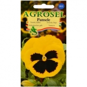 Seminte flori Pansele galben (0.25gr) Agrosel, 2PG