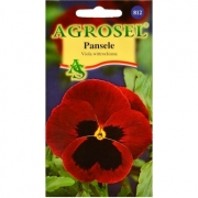 Seminte flori Pansele rosu (0.25gr) Agrosel, 2PG
