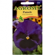 Seminte flori Pansele Albastru (0.25gr) Agrosel, 2PG