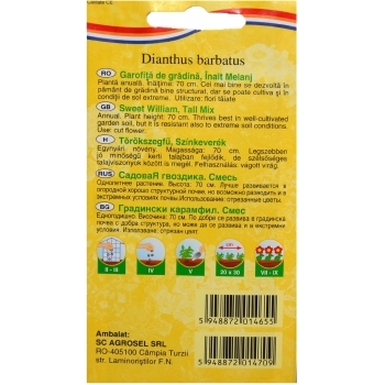 Seminte flori Garofita de gradina inalt melanj(1 gr) Agrosel, 2PG #2