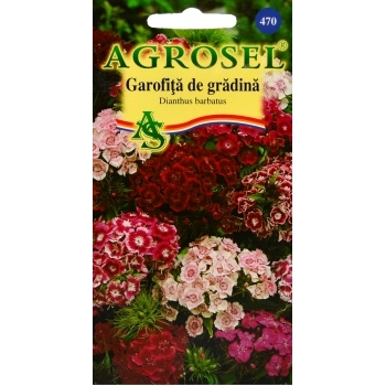 Seminte flori Garofita de gradina inalt melanj(1 gr) Agrosel, 2PG