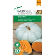 Seminte dovleac de copt Nagydobosi (3 gr) Agrosel, 2PG