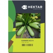 Seminte dovlecel Summer Ace F1(100 sem) HEKTAR