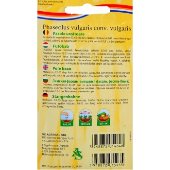 Seminte fasole urcatoare Ecaterina(30 gr) Agrosel, 3PG #3