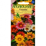 Seminte flori Gazania(0.17 gr) Agrosel