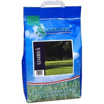 Seminte gazon umbra(5 kg) Agrosel