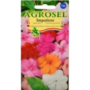 Seminte flori Impatiens melanj(0.10 gr) Agrosel, 2PG