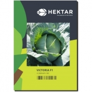 Seminte varza Victoria F1(2500 sem), HEKTAR