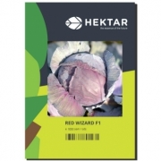 Seminte varza rosie Red Wizard F (1000 sem), HEKTAR