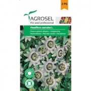 Seminte Floarea pasiunii de culoare albastru, (0.35g), Agrosel, 2PG