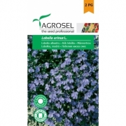 Seminte Lobelia albastru (0.3gr), Agrosel, 2PG