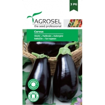 Seminte Vinete Corvus (3 gr), Agrosel #1