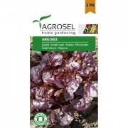 Semințe salată creață roșie Odagiu - 4 g