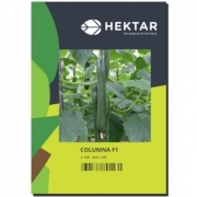 Seminte Castravete lung AS102 F1 Columna F1 ( 500 sem), HEKTAR