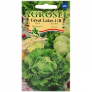 Seminte salata Great Lakes 118(3 gr) Agrosel, 2PG