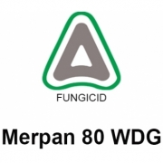 Fungicid Merpan 80WDG (5kg), Adama