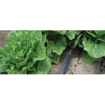 Banda picurare 17mm, 6mil, 30cm, 1.6l/h, 2600m #5