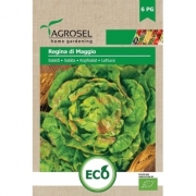 Salata Regina di Maggio ECO, 3gr