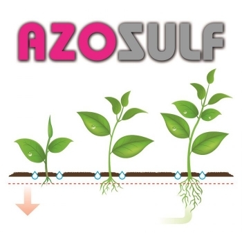 Fertilizant foliar Azosulf 30kg, EuroTsa #3